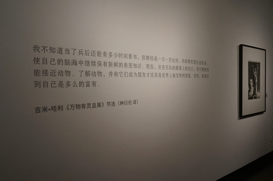 有仪式的风景&mdash;&mdash;苏新平作品展广东揭幕