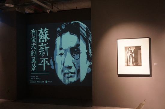有仪式的风景&mdash;&mdash;苏新平作品展广东揭幕