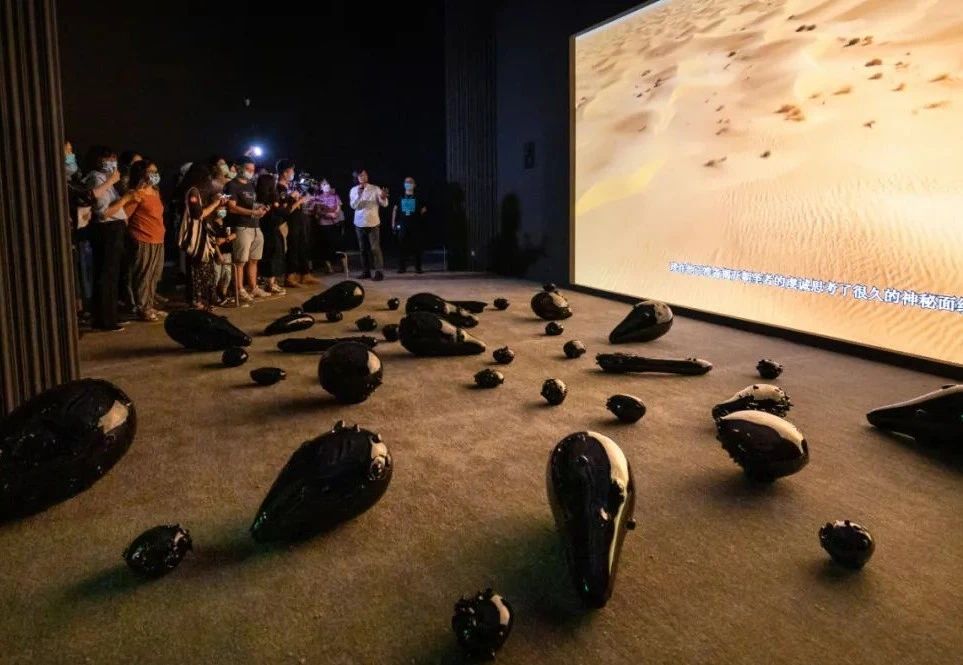 馆长王绍强在为观众导览 (6).jpg